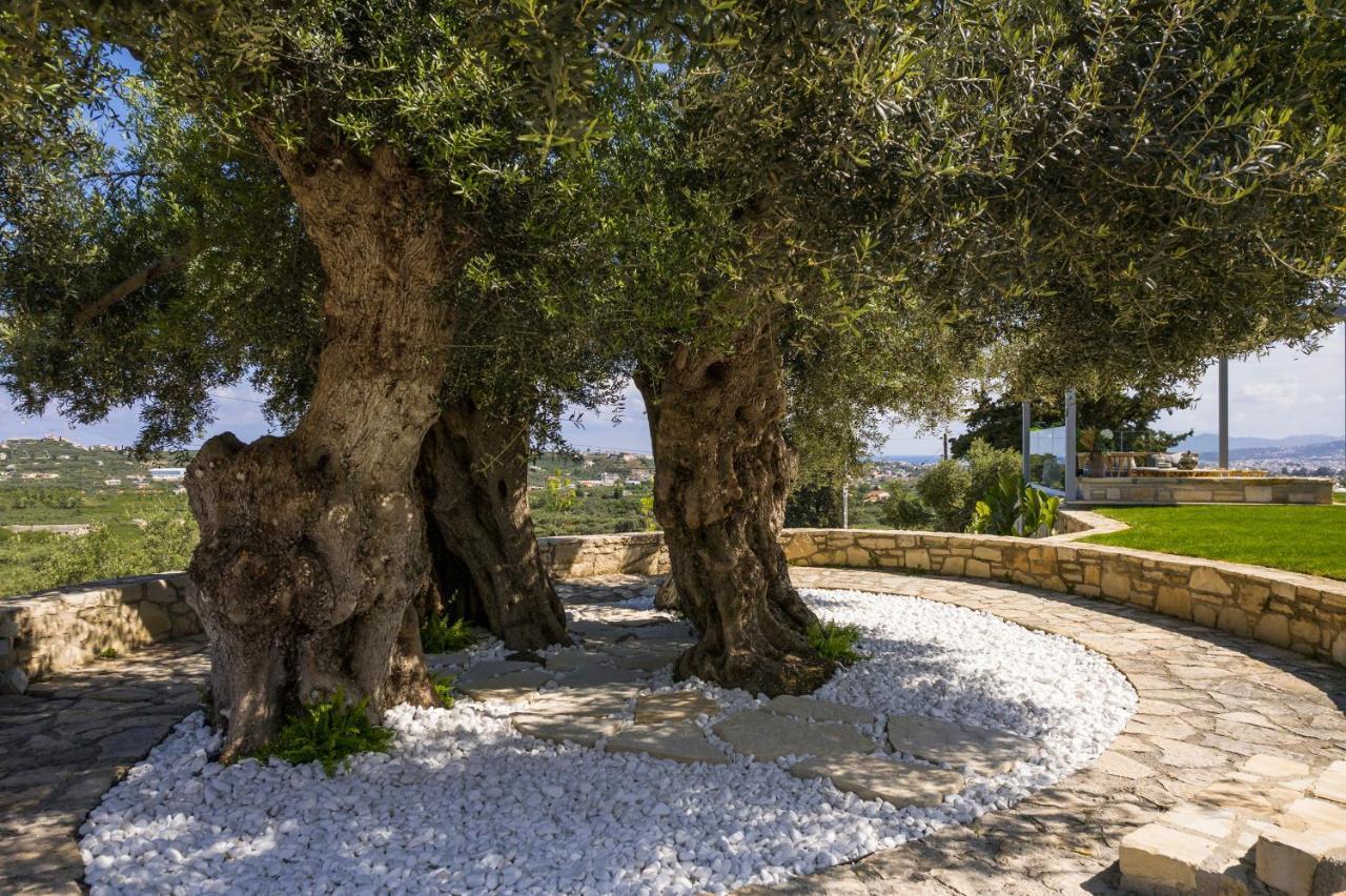 Olivenest Chania Executive Villa Perivolia  Exterior photo